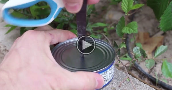 What He Does Next When He Punches A Hole In The Top Of A Tuna Can. Brilliant!