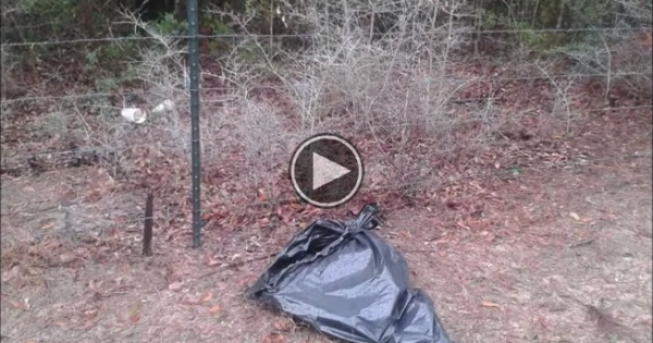 This Bag Was Found On The Side Of The Road.look What Was Inside? A Miracle.
