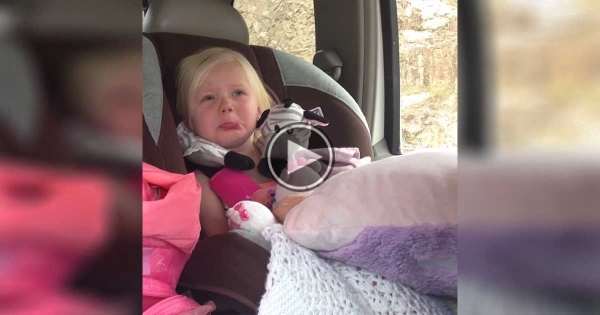 The Reason Why Dad Catches Her Eyes Welling Up In The Backseat.  My Heart Melted.