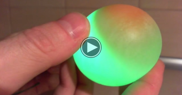 He Dipped An Egg In Vinegar, TheEnd Results Are AMAZING!