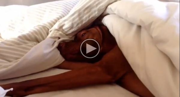 He Reacts Just Like A Human..When The Alarm Goes Off