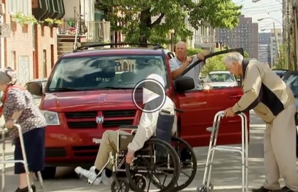 What Happenes To Them At A Green Light? Will leave You Hysterical!