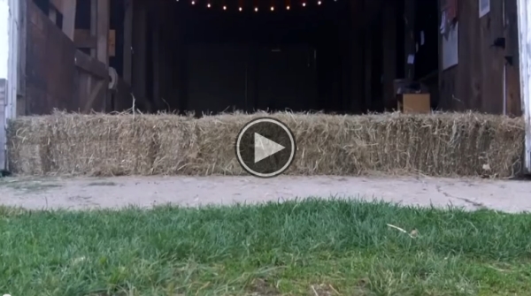 What’s Lurking Behind These Bales Of Hay.