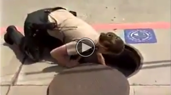 What This Police Officers Rescues From A Manhole Is Unbelievable