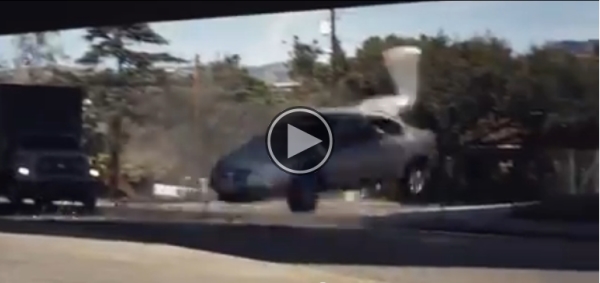After Watching This, I Hope You Will Never Do This Again.
