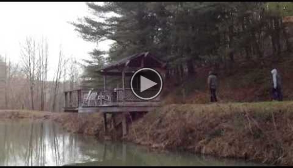 What Happens When Your Throw Sodium In A Pond Will LITERALLY Blow Your Mind