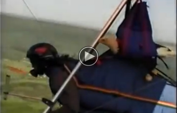 With The Help Of A Hang Glider,This One Winged Eagle Flies Again