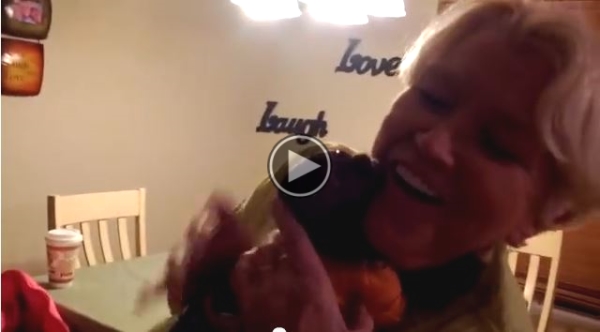 Our Monkey Was Happy To See Grandma. This Is Hilarious!