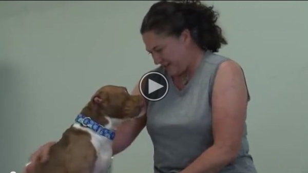 Deaf Woman Adopts Deaf Dog That Knows Sign Language.