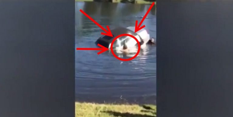 Elderly Man Crashed In A Lake, It Seemed All Was Lost. Then This Guy Stepped In