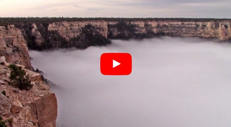 To Show You The Beauty And Wonder Of Nature It Only Takes 60 Seconds For This Timelapse