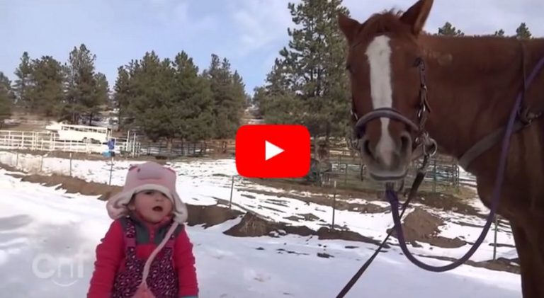 You Won’t Be Able To Stop Smiling Once You See This Little Toddler And Her Horse Together