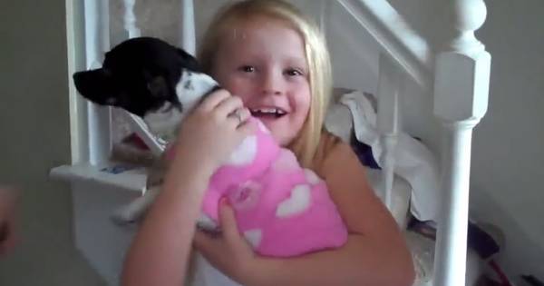 What Happened To These 15 People On Christmas Will Make You Smile For Days
