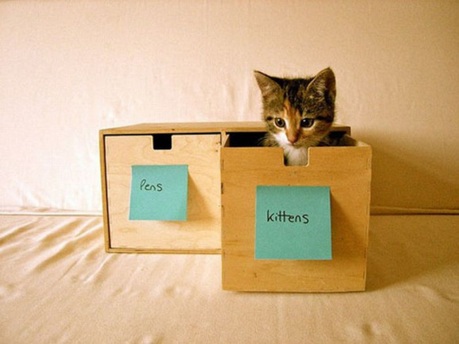 20 Cat Organizing Hacks for Cat Ladies