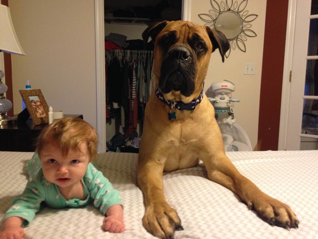 20 Awesome Best Pet Friends Of Cool Kids