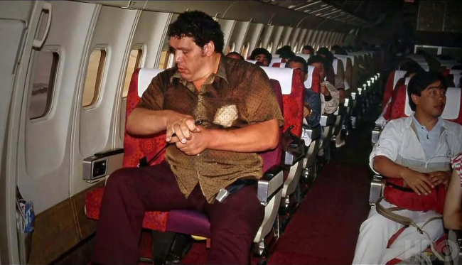 Andre the giant  650x373 Real Life Human Giants Who Have Ever Existed