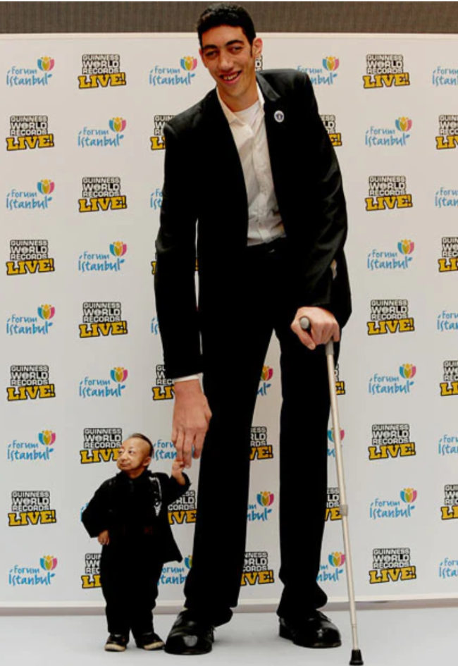 Real Life Human Giants Who Have Ever Existed sultan kosen 650x945 Real Life Human Giants Who Have Ever Existed