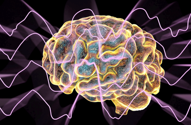 Predictions That Are About To Come True Interconnected Brains Predictions that are about to come true e1702814978738 650x425 Predictions That Are About To Come True