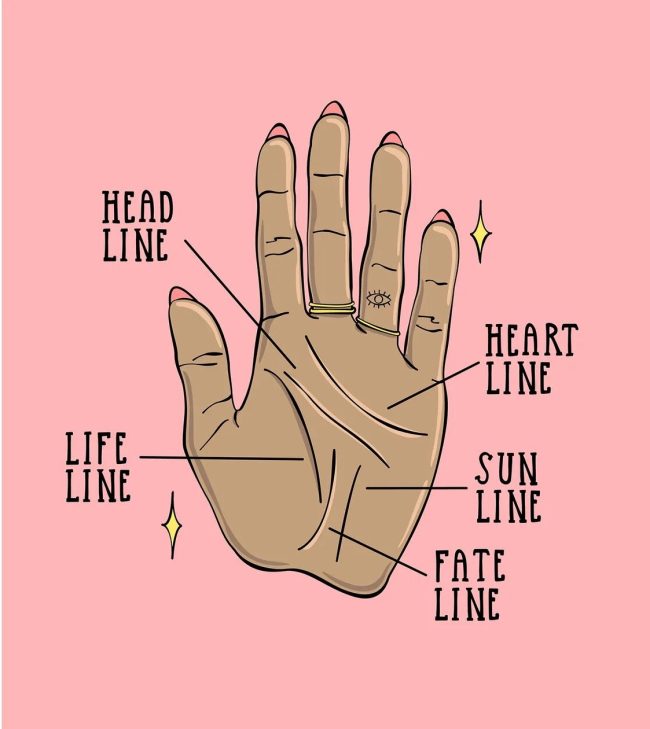 what your hands say lines 650x729 What Your Hands Say About Your Personality